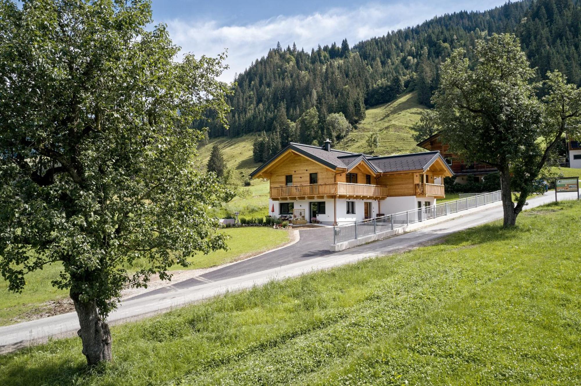 Ferienwohnungen Schwabhof Kleinarl Εξωτερικό φωτογραφία